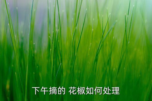 下午摘的 花椒如何處理
