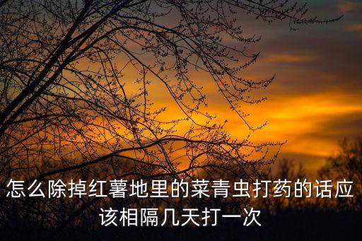 怎么除掉紅薯地里的菜青蟲打藥的話應(yīng)該相隔幾天打一次