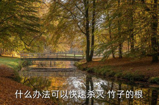 什么辦法可以快速殺滅 竹子的根