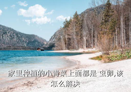 用什么農(nóng)藥殺死草根蟲卵,殺死羊糞里的蟲卵農(nóng)藥