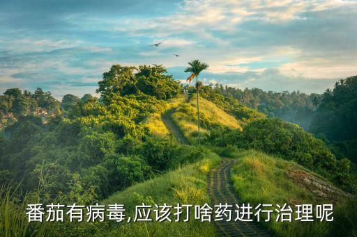  番茄有病毒,應該打啥藥進行治理呢