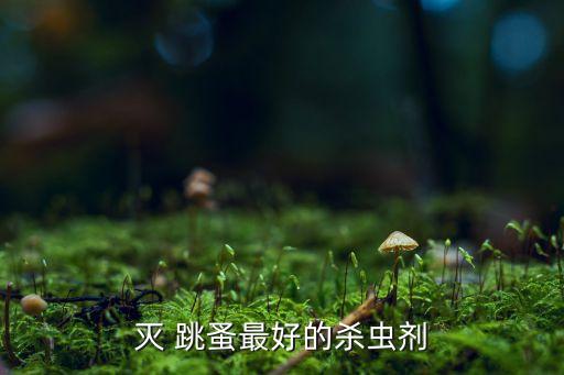 什么農藥對跳蚤最有效,用什么農藥可以殺跳蚤
