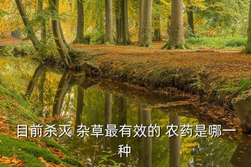 除頑固雜草用什么農藥好,什么農藥讓雜草一年不長