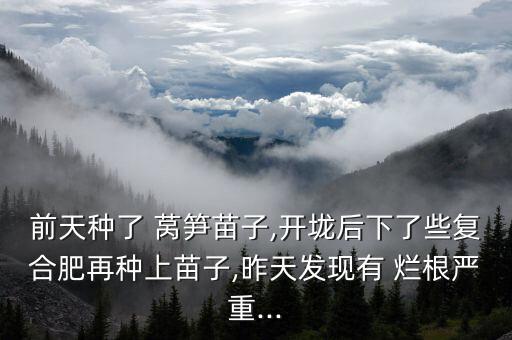 前天種了 萵筍苗子,開垅后下了些復(fù)合肥再種上苗子,昨天發(fā)現(xiàn)有 爛根嚴(yán)重...