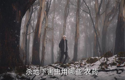 殺地下害蟲用哪些 農藥