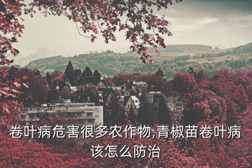 芝麻卷葉用什么農藥,芝麻打什么農藥高產