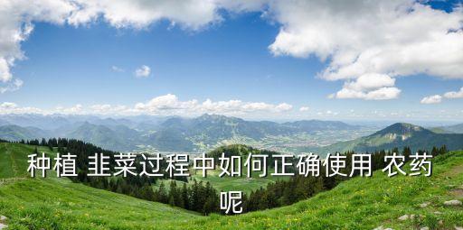 種植 韭菜過程中如何正確使用 農藥呢
