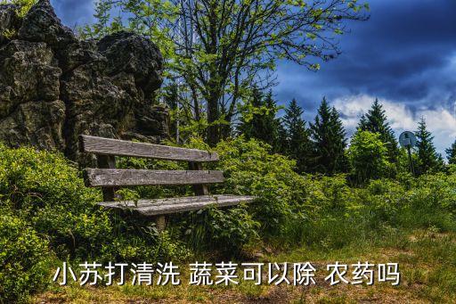 洗蔬菜用什么去農藥,洗潔精可以洗蔬菜的農藥嗎?