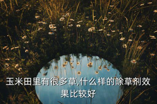 玉米田里有很多草,什么樣的除草劑效果比較好