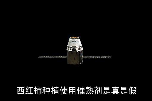 西紅柿為什么會(huì)打農(nóng)藥,為什么說(shuō)西紅柿?xí)淮? /></a><a href=