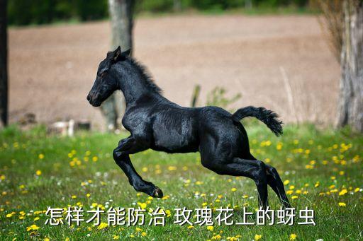 玫瑰打什么農(nóng)藥好,西瓜一般打什么農(nóng)藥