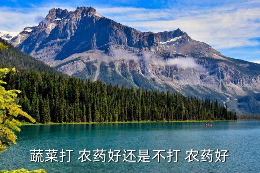 少吃農藥有什么好處,倍久農藥有什么好處