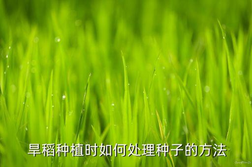  旱稻種植時如何處理種子的方法
