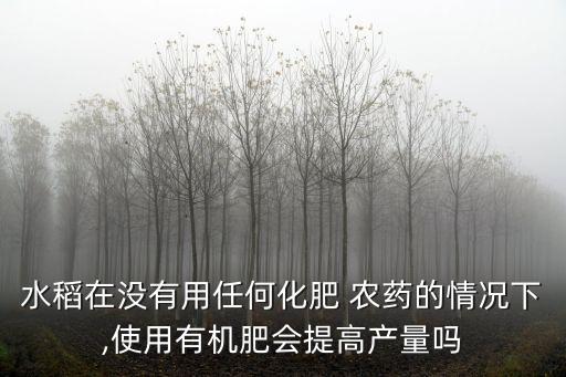 為什么稻谷不打農(nóng)藥呢呢