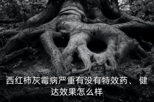 西紅柿灰霉病嚴重有沒有特效藥、 健達效果怎么樣