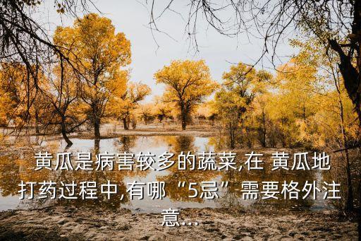怕黃瓜的貓什么意思,黃瓜最怕滴什么農藥