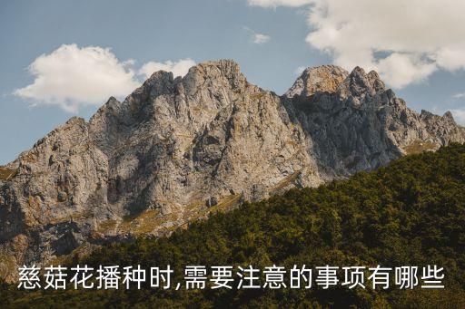 ,海芋打什么農藥防蟲