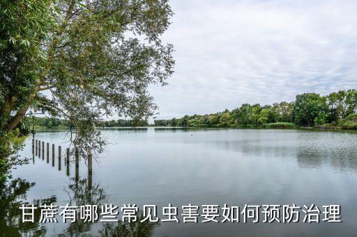 拿什么農藥打甘蔗好,甘蔗會不會打農藥
