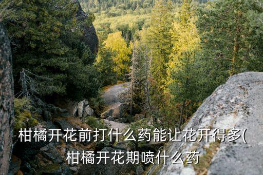 柑橘都打什么農藥好用,三月份柑橘打什么農藥