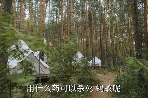 什么農(nóng)藥打螞蟻蟲最好打,螞蟻用什么農(nóng)藥可以除掉它