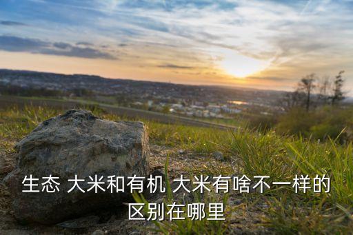 無農藥大米是什么東西,八爪魚里面的大米是什么東西