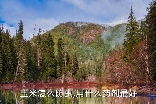  玉米怎么防蟲,用什么藥劑最好