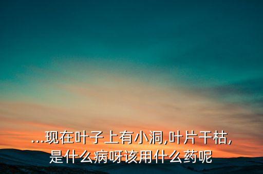 ...現(xiàn)在葉子上有小洞,葉片干枯,是什么病呀該用什么藥呢