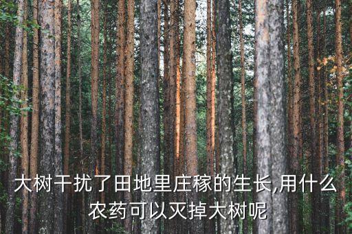 什么農藥除雜草不傷樹木,春季雜草用什么農藥效果好