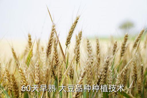 60天早熟 大豆品種種植技術