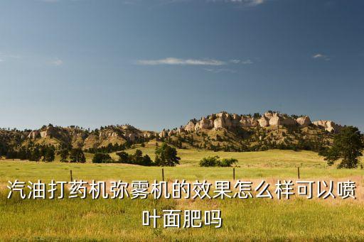 什么機械打農藥好,什么時間打農藥效果最佳