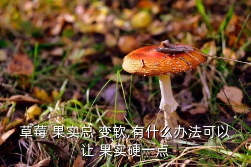草莓 果實總 變軟,有什么辦法可以讓 果實硬一點