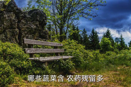 什么菜容易有農藥,菜蟲用什么農藥殺比較好?