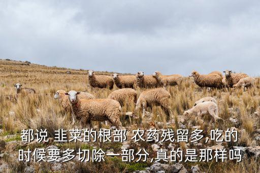 都說 韭菜的根部 農藥殘留多,吃的時候要多切除一部分,真的是那樣嗎