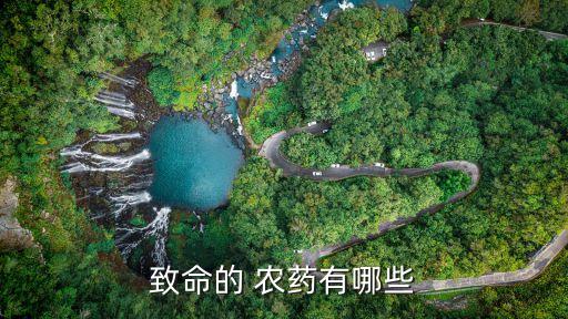 致命的 農藥有哪些
