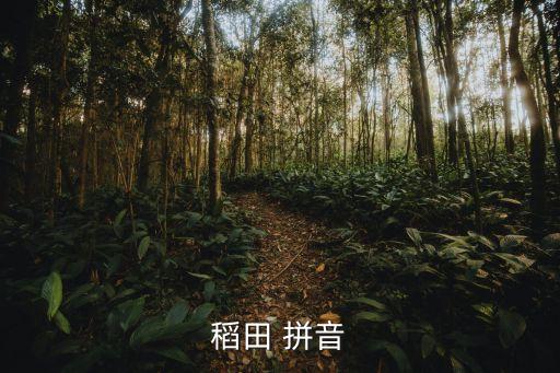 稻田 拼音