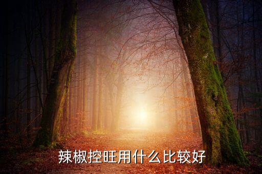  辣椒控旺用什么比較好