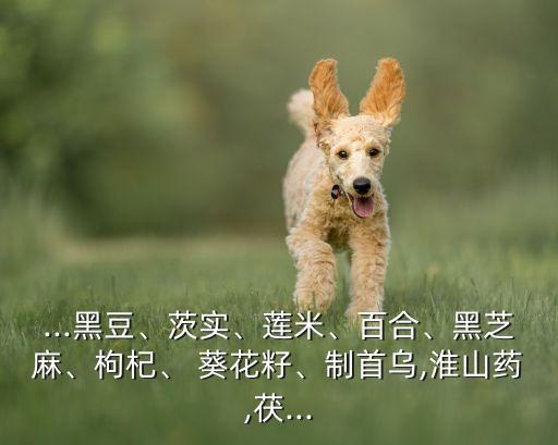 ...黑豆、茨實、蓮米、百合、黑芝麻、枸杞、 葵花籽、制首烏,淮山藥,茯...