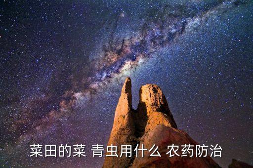 菜田的菜 青蟲用什么 農藥防治