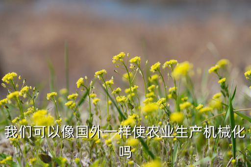 我們可以像國外一樣使農業生產機械化嗎