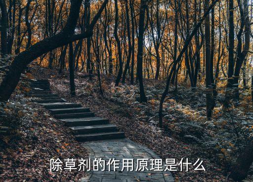  除草劑的作用原理是什么