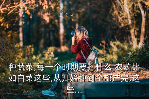 種蔬菜,每一個時期要打什么 農藥比如白菜這些,從開始種到全部產完,這些...