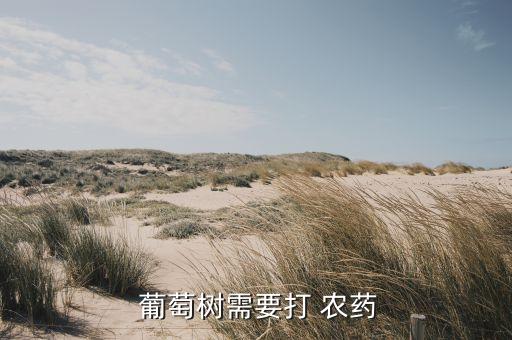 葡萄春季用什么農(nóng)藥好,葡萄用什么農(nóng)藥最多