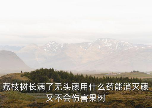 荔枝樹(shù)長(zhǎng)滿了無(wú)頭藤用什么藥能消滅藤又不會(huì)傷害果樹(shù)