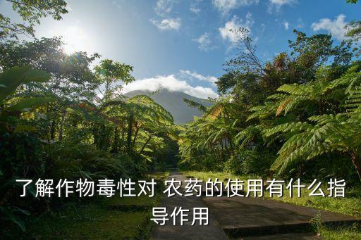 農(nóng)場(chǎng)動(dòng)物為什么要打農(nóng)藥,QQ戀之農(nóng)場(chǎng)為什么打不開(kāi)
