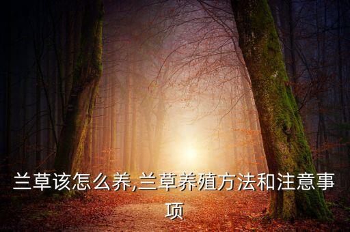 蘭草該怎么養(yǎng),蘭草養(yǎng)殖方法和注意事項(xiàng)