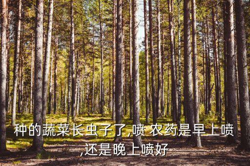 種的蔬菜長蟲子了,噴 農(nóng)藥是早上噴,還是晚上噴好