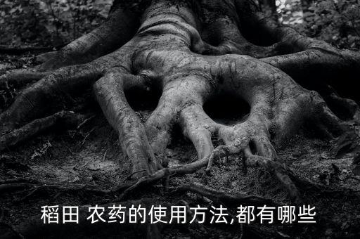 什么農藥可以除雜稻,藥稻稗什么農藥效果好