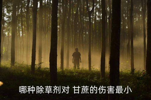 哪種除草劑對 甘蔗的傷害最小