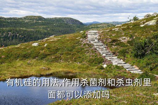 什么農藥里面含硅,什么菜含農藥最多
