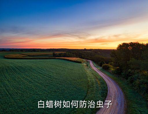 白蠟樹用什么農(nóng)藥